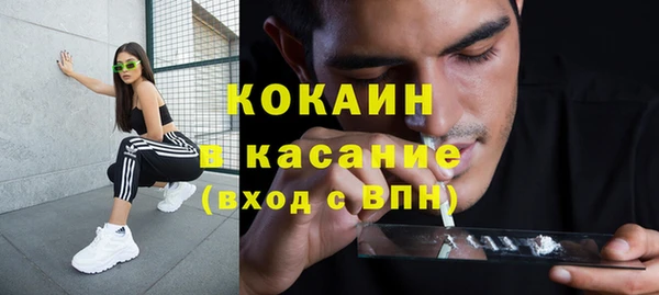 ГАЛЛЮЦИНОГЕННЫЕ ГРИБЫ Абаза