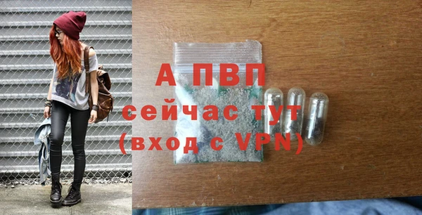 ГАЛЛЮЦИНОГЕННЫЕ ГРИБЫ Абаза