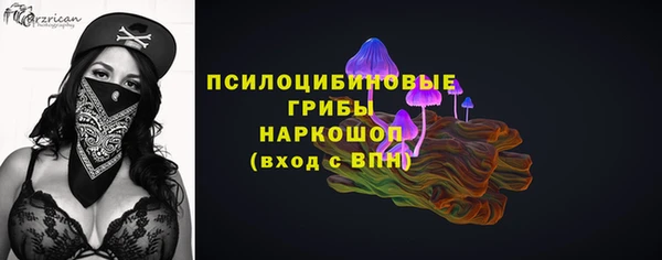 ГАЛЛЮЦИНОГЕННЫЕ ГРИБЫ Абаза