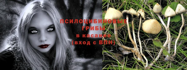 ГАЛЛЮЦИНОГЕННЫЕ ГРИБЫ Абаза