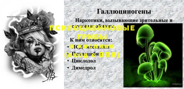 СК Абдулино
