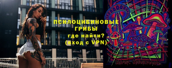 a pvp Алзамай