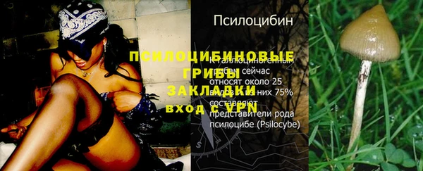 прущая мука Абинск