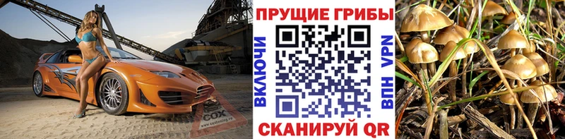 наркотики Воткинск OMG tor Галлюциногенные грибы MAGIC MUSHROOMS